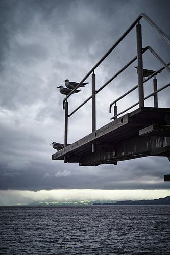 Plongeoir, Hamar, Norvège.