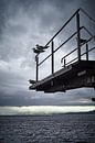 Diving board, Hamar, Norway. by André Bouterse thumbnail