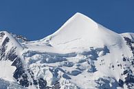 Silberhorn von Bart van Dinten Miniaturansicht