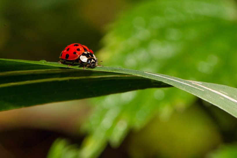 _DSC8776 by Bart Verdijk