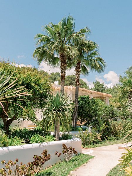 Luxury villa in Ibiza among palm trees by Youri Claessens