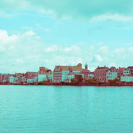 Dordrecht in rood-groene tinten van Ineke Duijzer