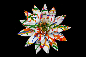 Pflanze als Kunst