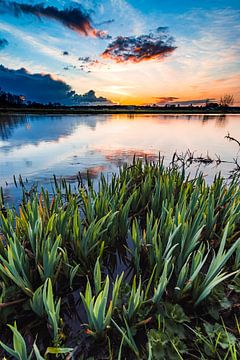 Die Morgensonne von WILBERT HEIJKOOP photography