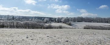 Vue sur l'Eifel en hiver sur Gottfried Carls