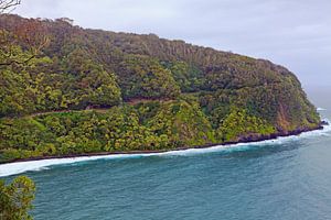 Paysage côtier avec la "Road to Hana" sur Maui (Hawaii) sur t.ART