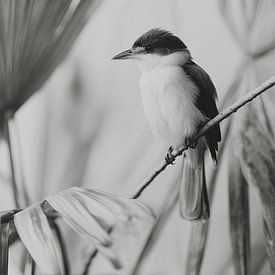 Exotische vogel van Treechild