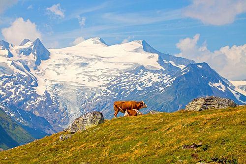 Traumkulisse Großvenediger