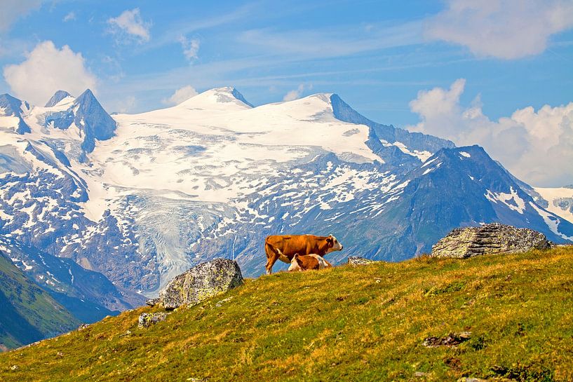 Dream scenery Großvenediger by Christa Kramer