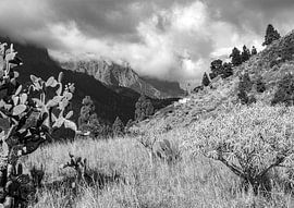 La Palma, mountain scenery by Han van der Staaij