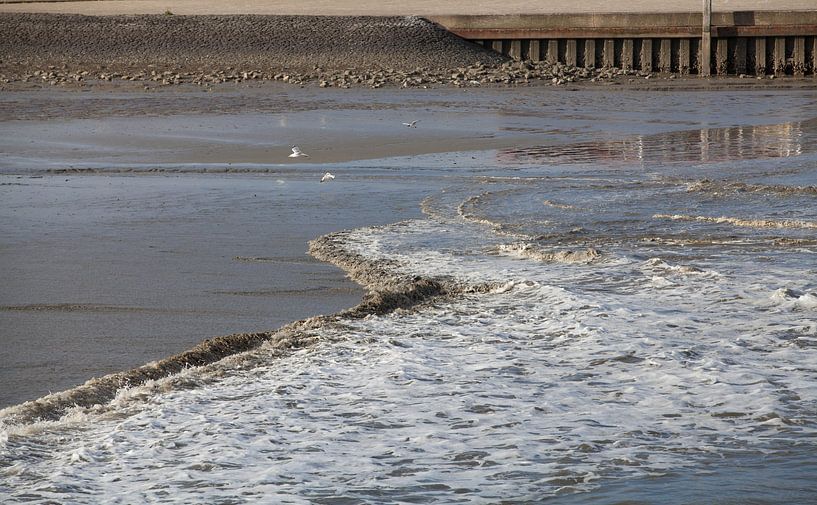 Opkomend water. par Erik Nienhuis