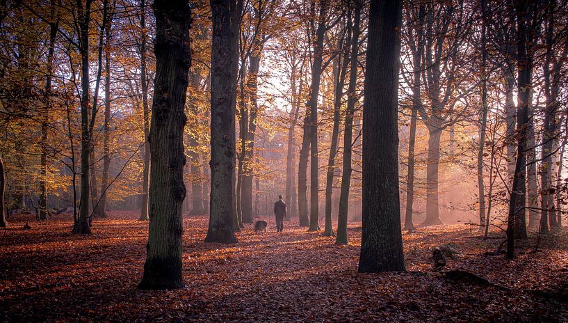 Who walks the dog? by peterheinspictures