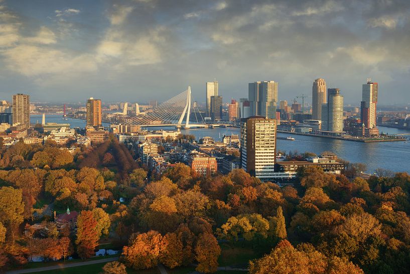 Ville de Rotterdam par Martin Podt