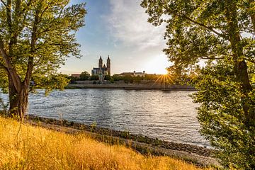 Magdeburg Cathedral and Fürstenwall in Magdeburg by Werner Dieterich