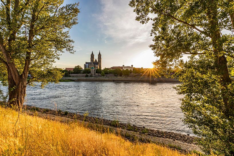 Magdeburg Cathedral and Fürstenwall in Magdeburg by Werner Dieterich