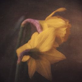 Ce qui n'est pas dit sur The Art Of Vili