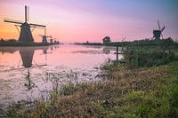 Kinderdijk in de vroege morgen