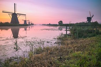 Kinderdijk in de vroege morgen