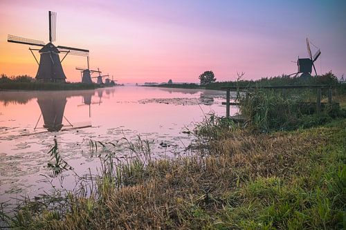 Kinderdijk in de vroege morgen