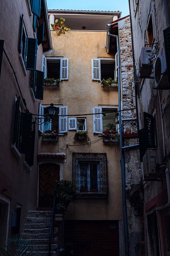 Enchanting courtyard in the streets of Rovinj: Croatian architecture and floral splendour