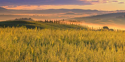 Une matinée en Toscane