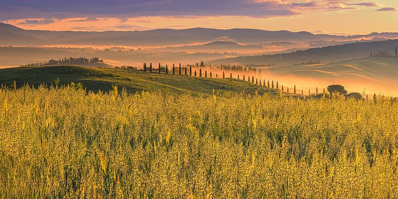 A morning in Tuscany by Henk Meijer Photography