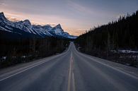 Icefield Parkway, Canada van Thomas Bartelds thumbnail