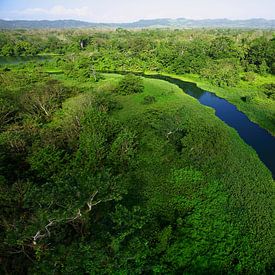 Luchtopname van de  Chagres rivier in Soberania National Park, Panama