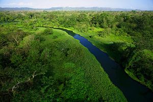 Luchtopname van de  Chagres rivier in Soberania National Park, Panama van Nature in Stock