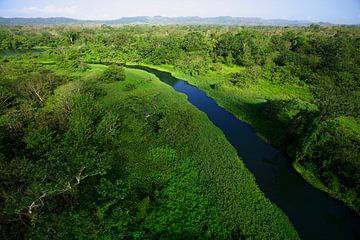Vue aérienne de la rivière Chagres dans le parc national de Soberania, Panama sur Nature in Stock