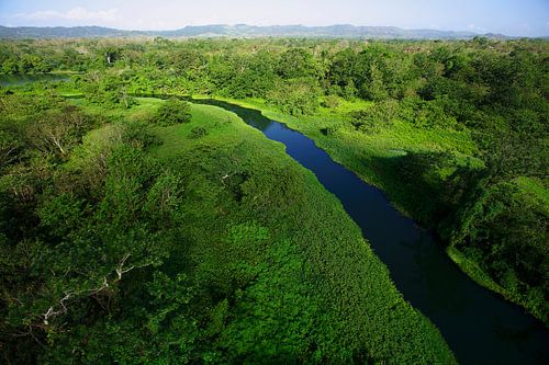 Vue aérienne de la rivière Chagres dans le parc national de Soberania, Panama