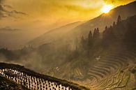 zon en gele mist. Mistig herfstlandschap met rijstterrassen. China, Yangshuo, Longsheng Rijstterrass van Michael Semenov thumbnail