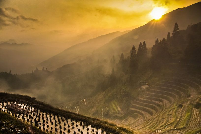 zon en gele mist. Mistig herfstlandschap met rijstterrassen. China, Yangshuo, Longsheng Rijstterrass van Michael Semenov