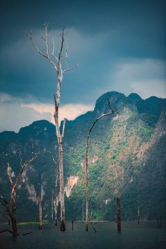 Arbre mort dans le lac thaïlandais sur Bart Rondeel