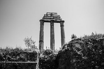 Säulen im Forum Romanum | Rom, Italien | Schwarz-Weiß | Reisefotografie von Monique Tekstra-van Lochem