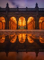 Enter the reflection