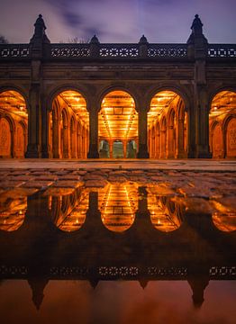 Enter the reflection by Fabian Bosman