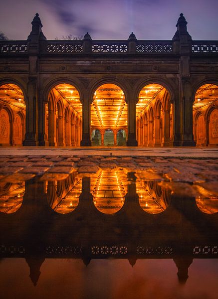 Enter the reflection by Fabian Bosman