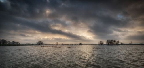 Hoogwater bij Prins Willem Alexanderbrug in Echteld