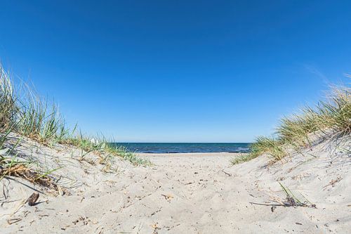 Dünen am Strand in Glowe auf Rügen, Schaabe