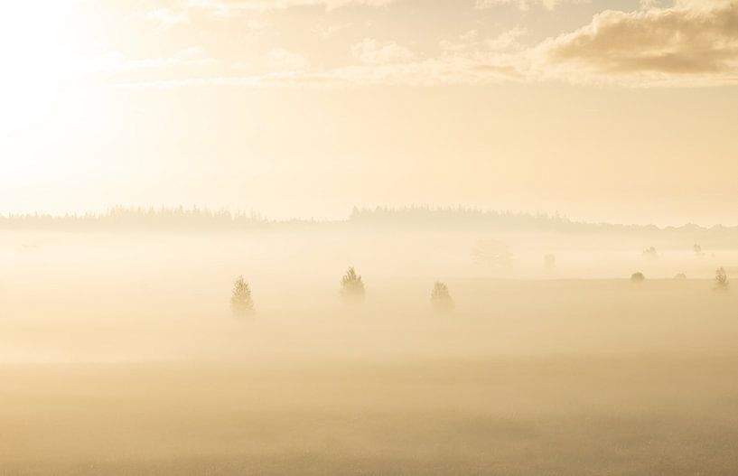 Foggy sunrise Duurswouderheide (Netherlands) by Marcel Kerdijk