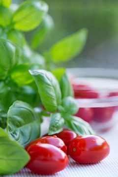 frische Tomaten und Basilikum von Martina Weidner
