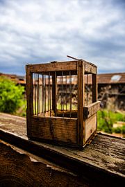 Verlassener Taubenkäfig – Ein Relikt der Vergangenheit von InfiniteArtLabs