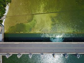 The Longhorn Dam sur Droning Dutchman