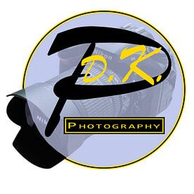 Paul de Kok Profile picture