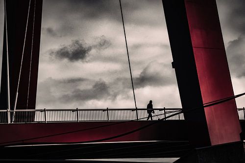 Man with dog on the Willemsbrug in Rotterdam