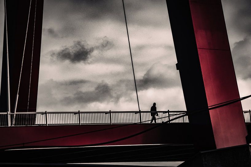 Man met hond op de Willemsbrug in Rotterdam van Rachelle Sarkis