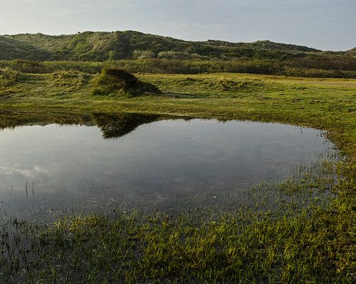 Kikkerpoel Tussen de Duinen