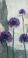 Allium Silver Garden 2