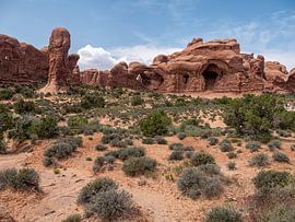 Landschap Arches National Park van Moniek van Rijbroek